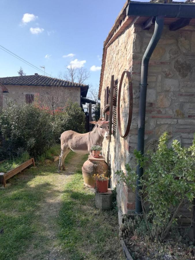 Agriturismo Grecinella Casole dʼElsa Екстериор снимка
